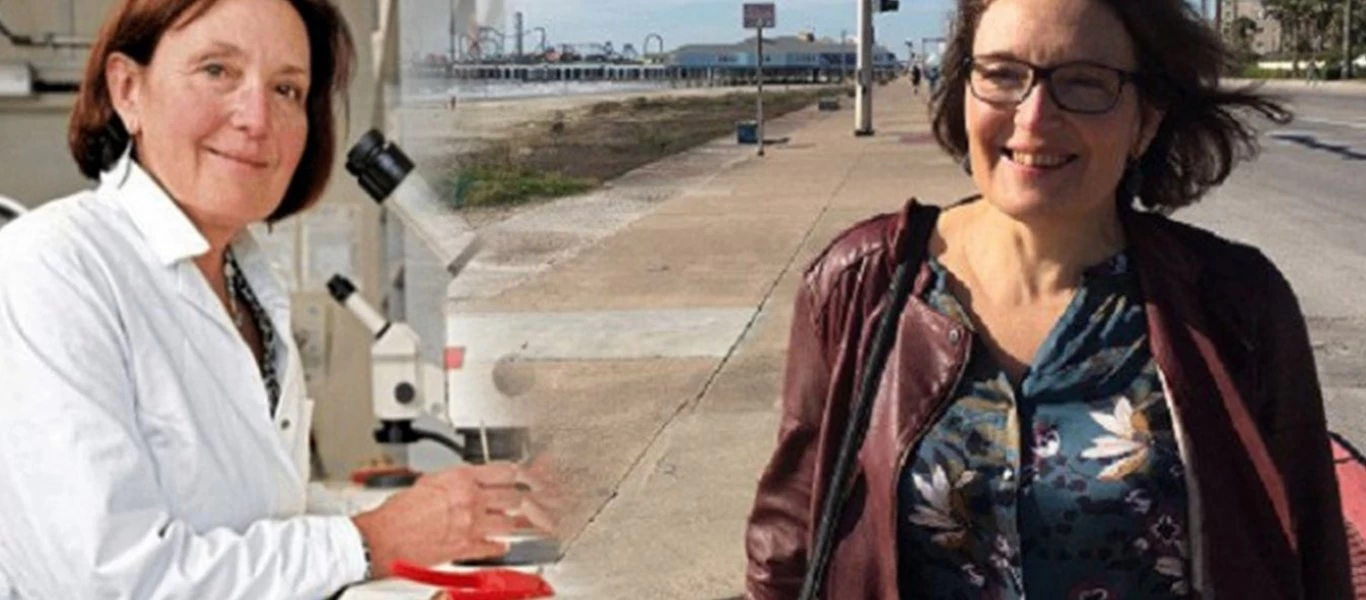 Δολοφονία βιολόγου - Κρήτη: Νέα μαρτυρία «φωτιά» για τον 27χρονο - Είχε χτυπήσει και άλλη γυναίκα (βίντεο)